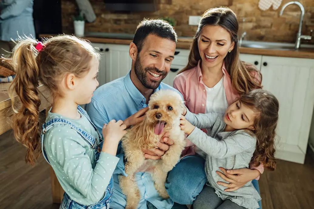 Família feliz reunida e olhando para o cachorro que está no colo do pai